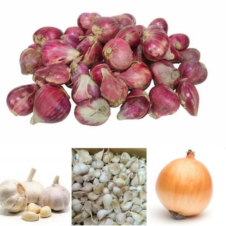 

Terbaru [Sayur Segar] Bawang Merah,Bawang Putih, Bawang katting, Bawang Bombay