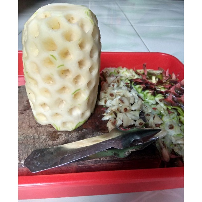 

Nanas Muda Kupas || Hanya untuk Jatim || Herbal alami || Harga untuk 1 buah || 1Kg muat 2 buah