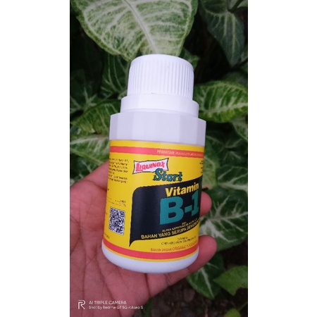 Liquinox Start Vitamin B1 100ML