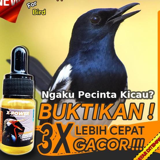 Stok terbaru  [PROMO] X-POWER VITAMIN BURUNG OBAT BURUNG LOVEBIRD KENARI KACER JALAK SUREN MURAI BAT