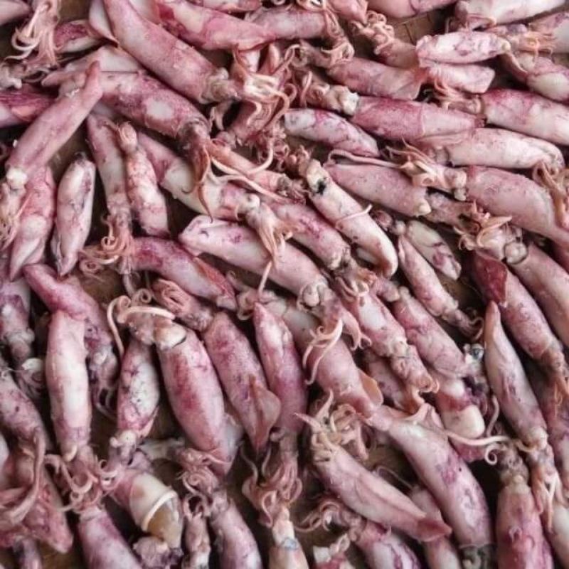 

CUMI ASIN CUMI KERING BABY CUMI 250grm
