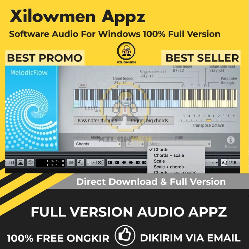 [Full Version] FeelYourSound Melodic Flow Pro Lifetime Audio Software WIN OS