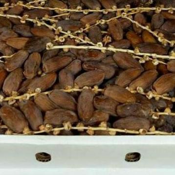 

♨ Kurma fruit Tunisia tangkai ukuran 1kg exp2024 ⅎ