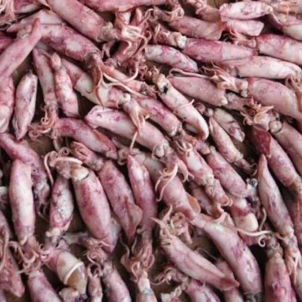 

✨MEGA ⚡ALE✨ Grosir Ikan Asin Cumi Asin 100 gram Segar