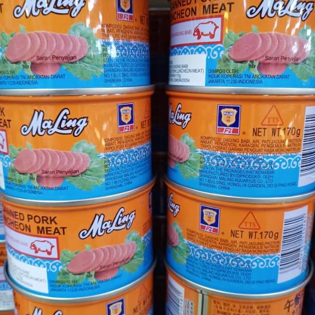 

✓ TTS MaLing ( Pork ) exp 2024