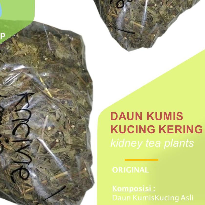 

♩ Daun Kumis Kucing Kering 1 kg Remujung Java Tea (Kidney Tea Plants Leaf) ❋