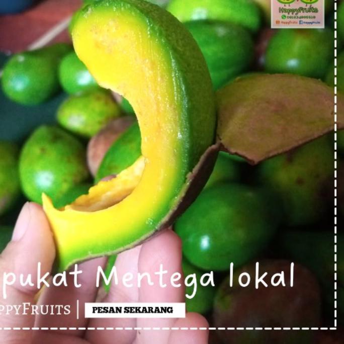 

➮ BUAH ALPUKAT MENTEGA LOKAL HAPPYFRUITS 2KG ✹