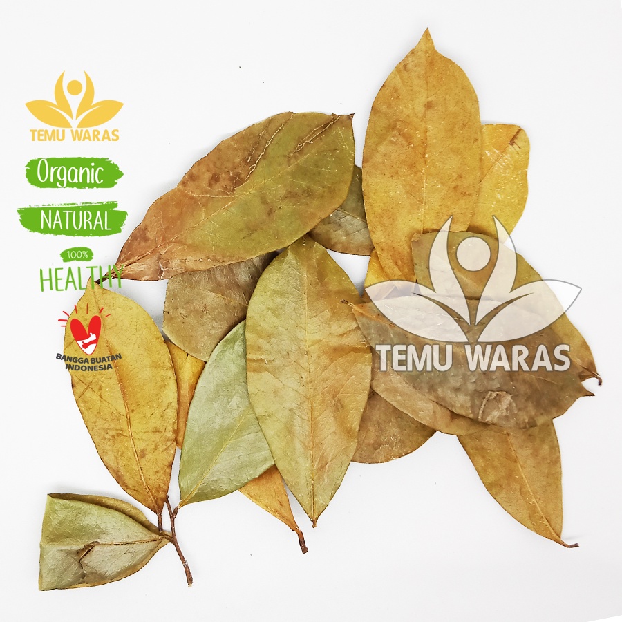 

Daun sirsak 100gr Kering Asli Hutan