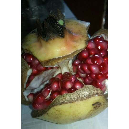 

Buah Delima