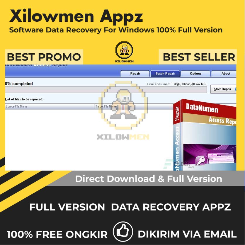 [Full Version] DataNumen Access Repair Pro Lifetime Data Recovery WIN OS