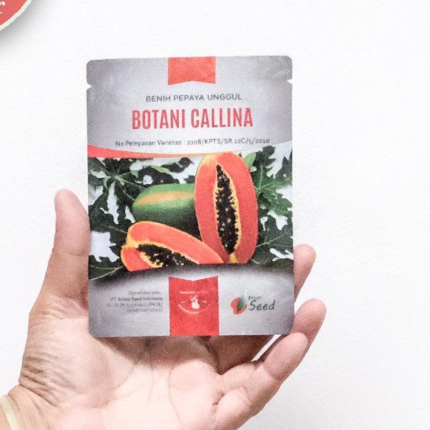 ○ benih pepaya california asli IPB isi 150 terbaru ✩