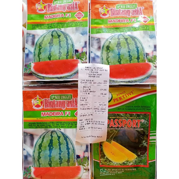 BENIH SEMANGKA INDEN/DEDE INGES