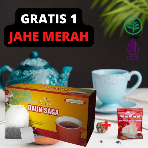 

Teh herbal daun saga herbal untuk mengobati batuk original produk sudah izin bpom resmi