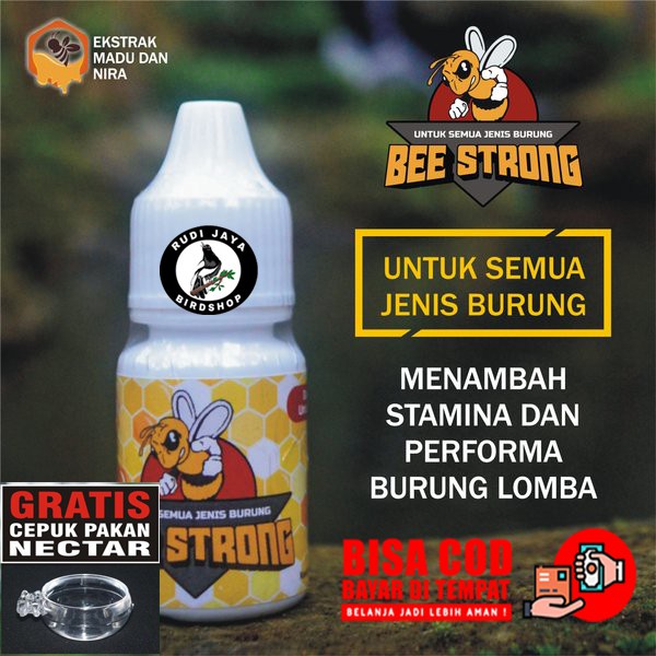READY TERMURAH GRATIS, RAPID BEE STRONG RN7 GOLD VITAMIN DOPING BURUNG PEMAKAN MADU KONIN KOLIBRI GA