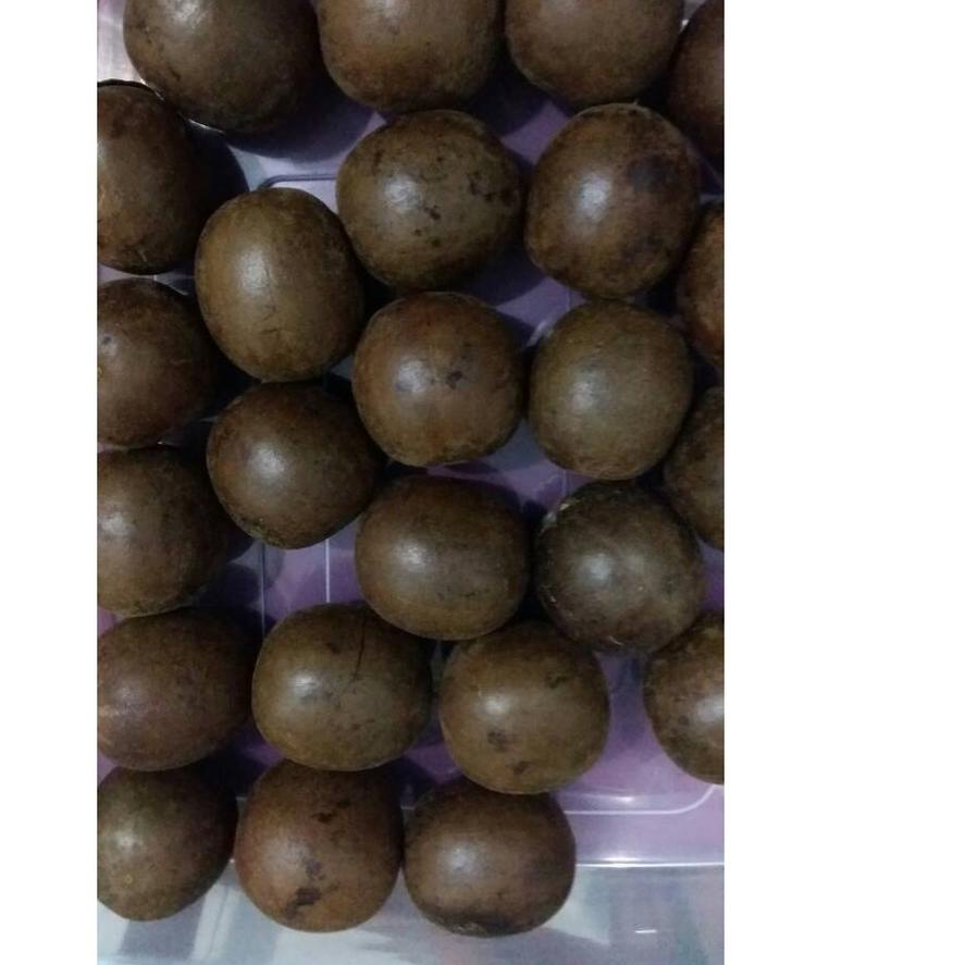 

♘ BUAH LO HAN KUO / LOHANKUO ISI 10 BUAH ➩