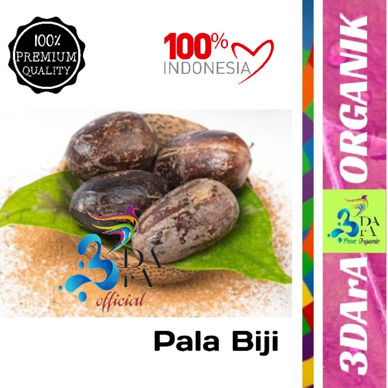 

Pala Biji Lonjong 100gr - Nutmeg Premium Asli Tanpa Campuran