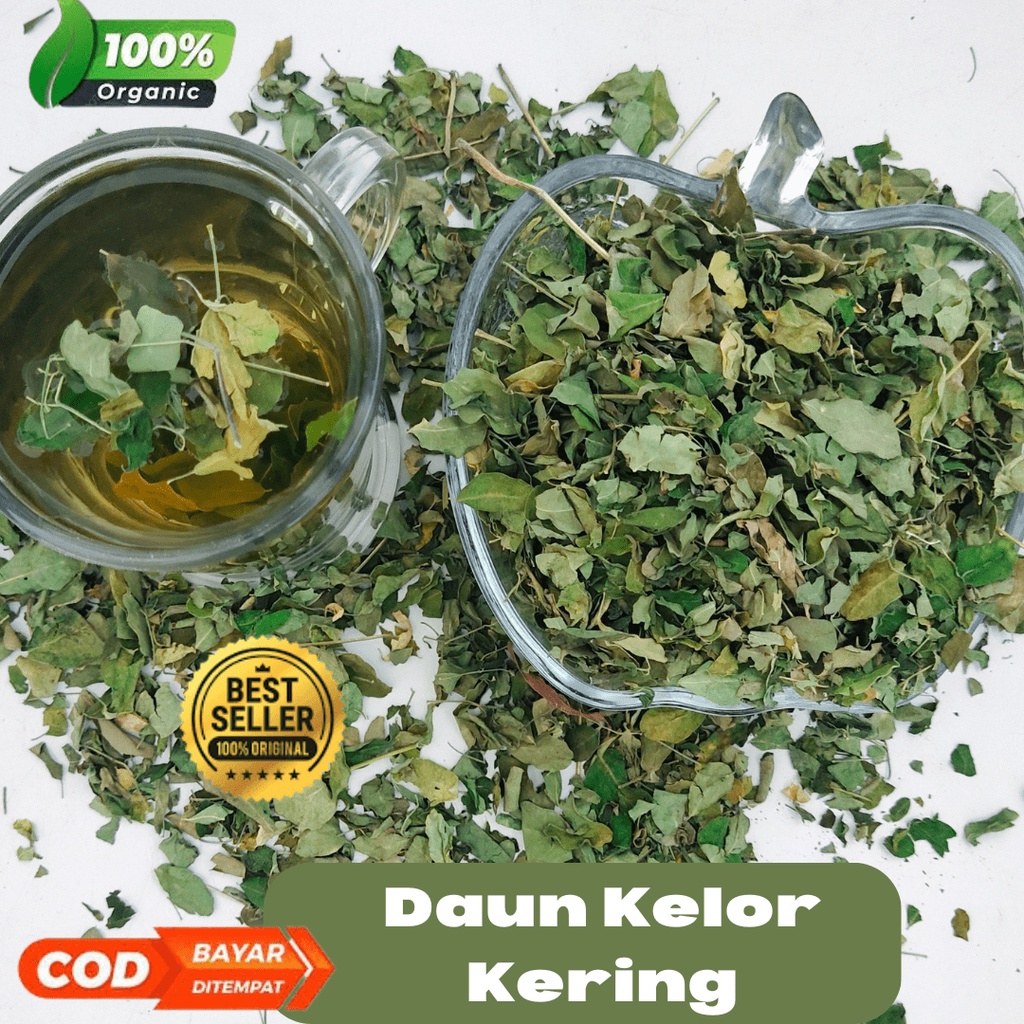 

daun kelor kering original