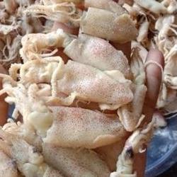 

✨MEGA ⚡ALE✨ Cumi asin cumi kering 1kg kualitas super|baby cumi|ikan|ikan asin
