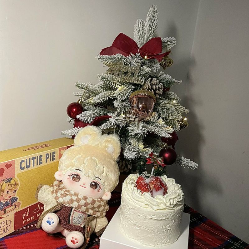 Merch SEVENTEEN Booked