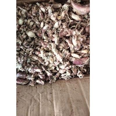 

➾ cumi asin 1kg ♙