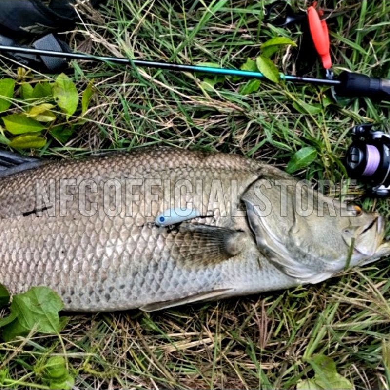 Lure minnow floating 5 cm 4,5 gram Best Killer Action