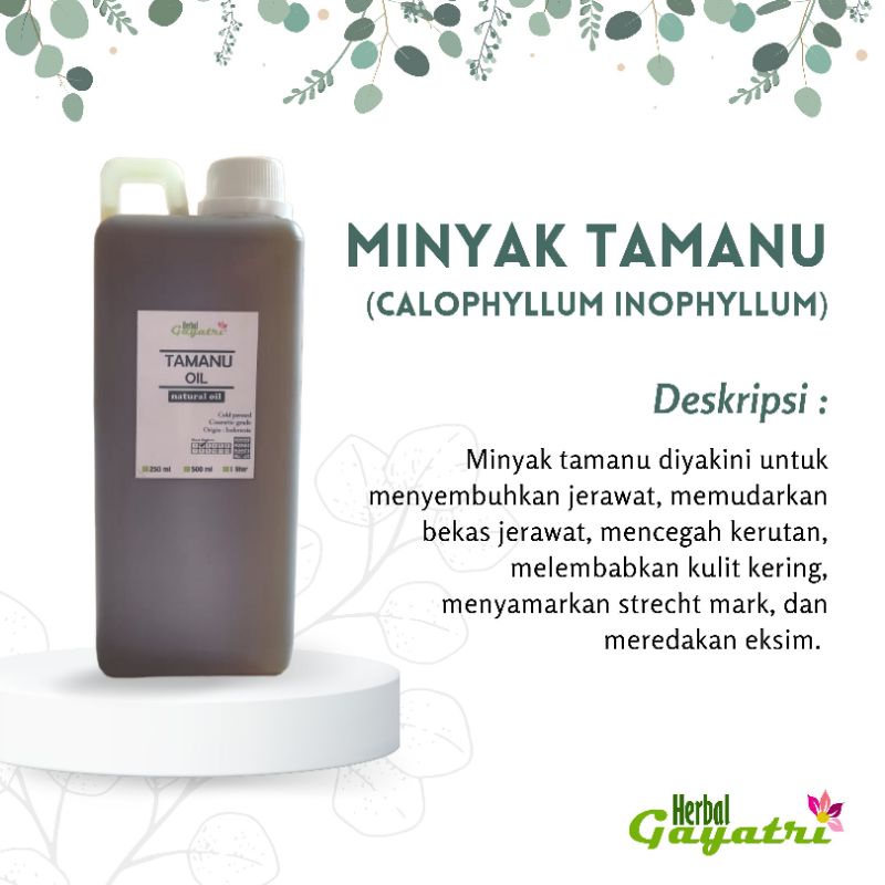 Tamanu Oil / Minyak Tamanu 1 Liter