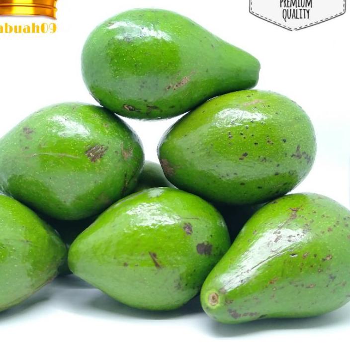 

12.12 Alpokat Mentega 1kg Fresh Bagus 
