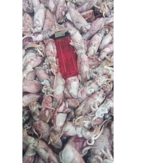 

۩ PROMO Cumi Asin beby 1kg/beby cumi asin /cumi asin rebus kecil ☋