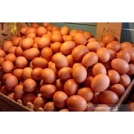 

Telur ayam