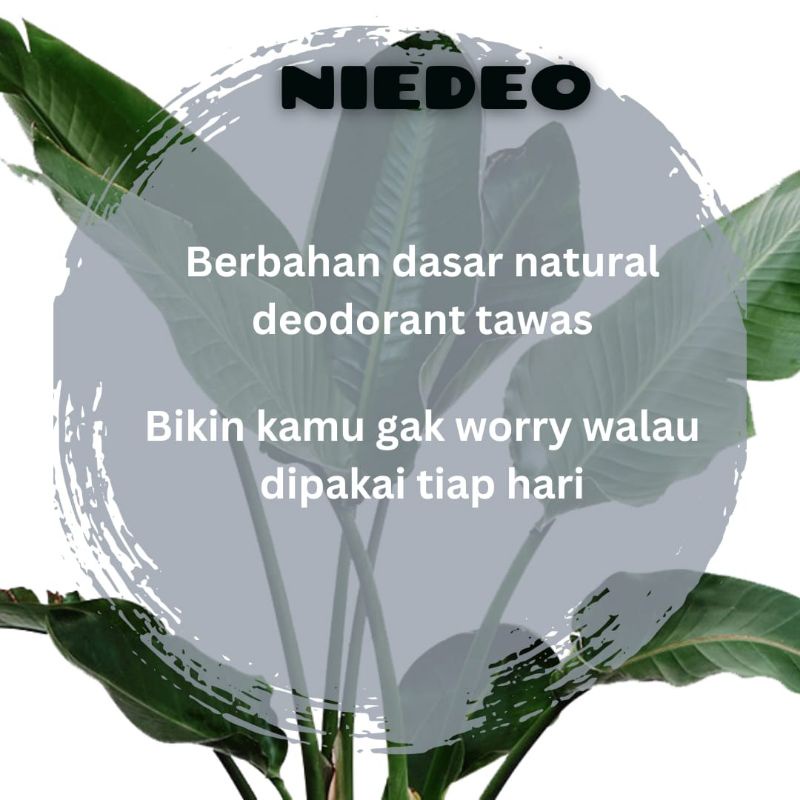 NATURAL DEODORANT SPRAY TAWAS NIEDEO ANTI BAU BADAN BEBAS BAU KERINGAT