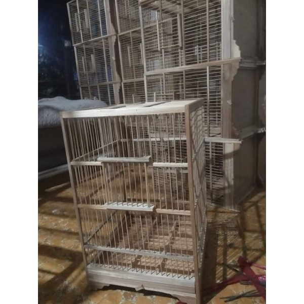 SANGKAR BURUNG OMBYOKAN ANAKAN BURUNG MURAI
