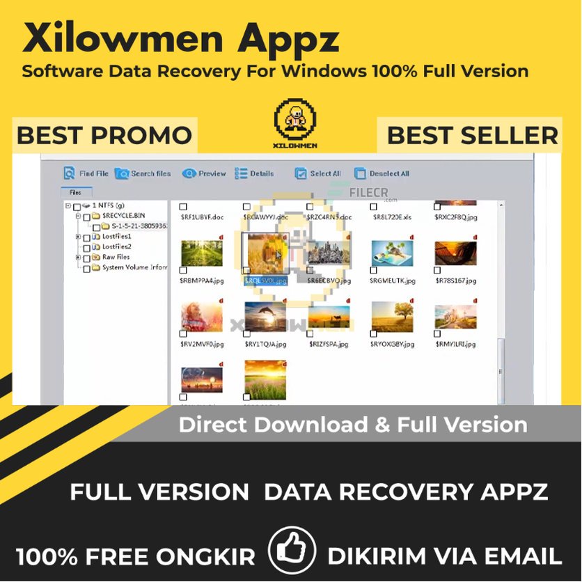 [Full Version] iCare Format Recovery Pro Lifetime Data Recovery WIN OS