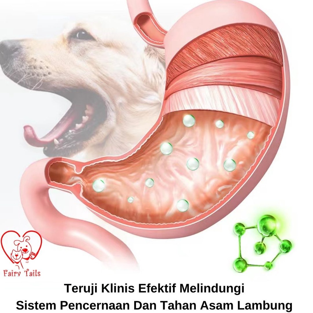 Probiotik Suplemen Bubuk Untuk Anjing Anabul Menyembuhkan Diare dan Konstipasi Ringan Untuk Kesehatan Pencernaan / Probiotic Supplement for Dog