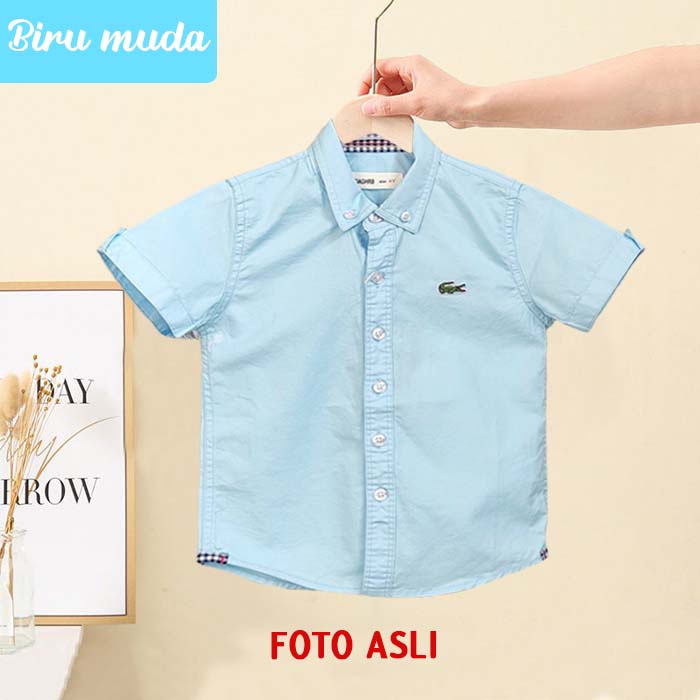 Kemeja Anak Import Murah Kemeja Bayi Putih Import Baju Anak Putih Kemeja Anak Putih Navy