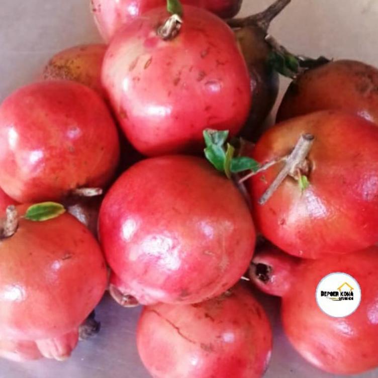 

N33 Buah delima merah SEGAR spanyol mini satuan BIJI LUNAK HOT PRODUCT ㅹ