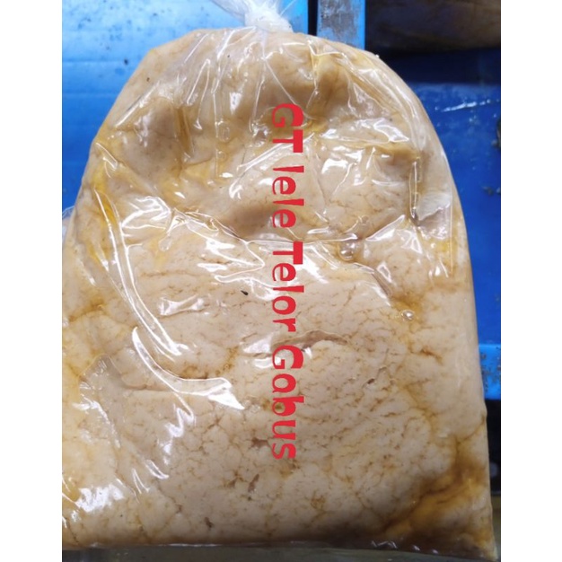 umpan gacor galatama lele/harian . TS(telor gabus)