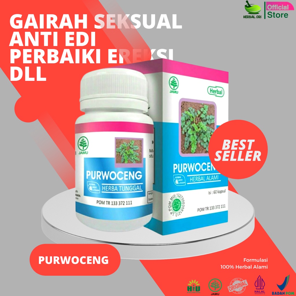 

HIU PURWO CENG purwaceng purwoceng Herbal