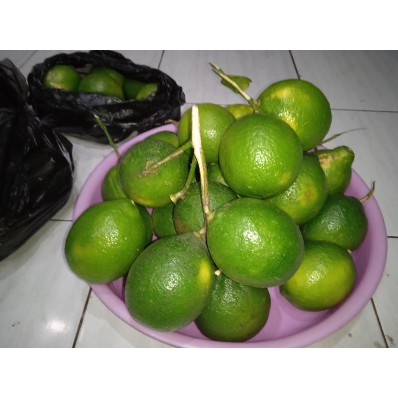 LEMON JERUK CALIFORNIA LOVE SHOP MILLENIAL