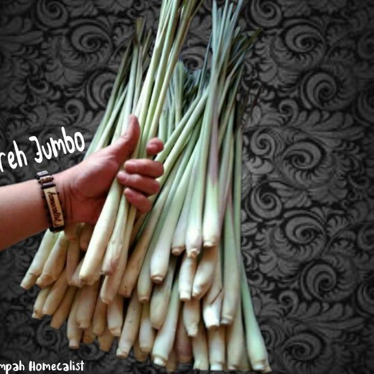 

>D2289) ⭐⭐⭐⭐⭐ Sereh Segar 1kg Serai Jumbo