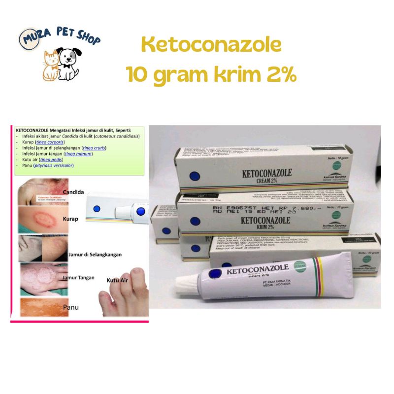 Ketoconazole Obat Anti Jamur /Salep Gatal Kulit/Obat Salep Kutu Air,Panu
