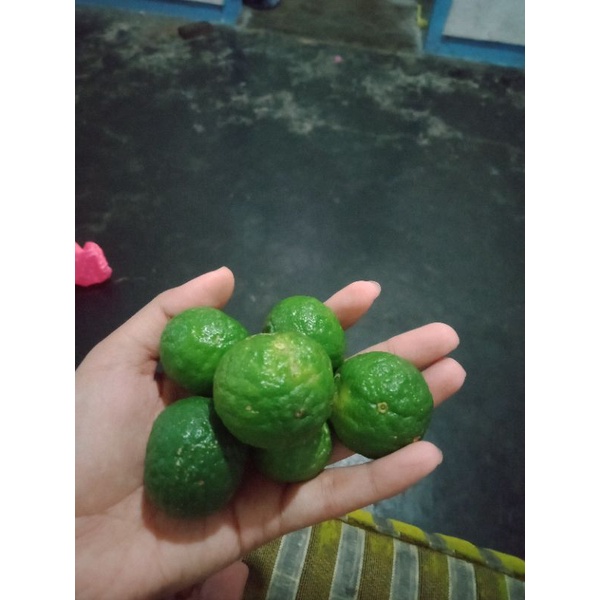 

Jeruk limau 1 kg 16.000