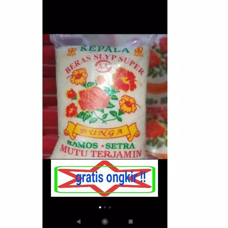 

← Beras setra ramos merek bunga setra 5kg kiloan full ▲