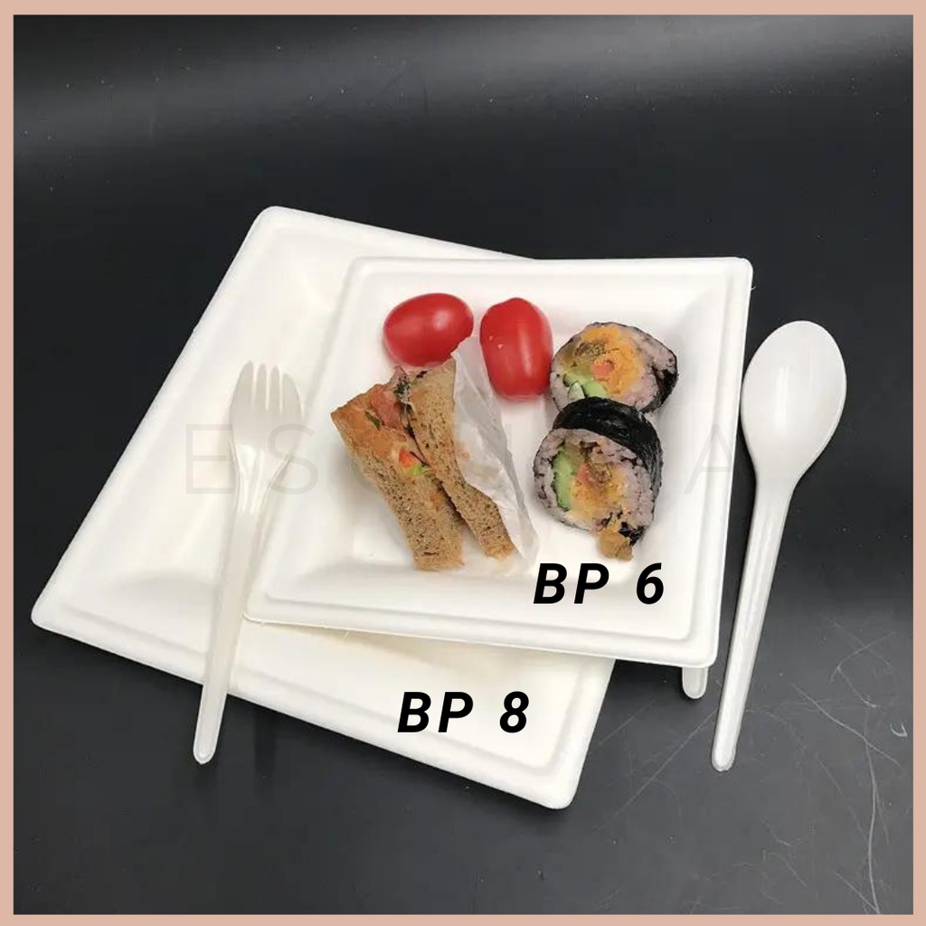 Bagasse Square Party Plate 8 inch / Sugarcane Plate 10 PCS / BP-8