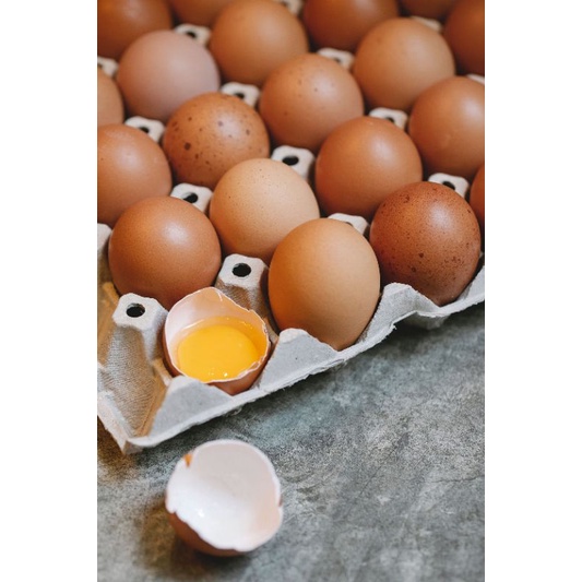 

telur ayam negeri