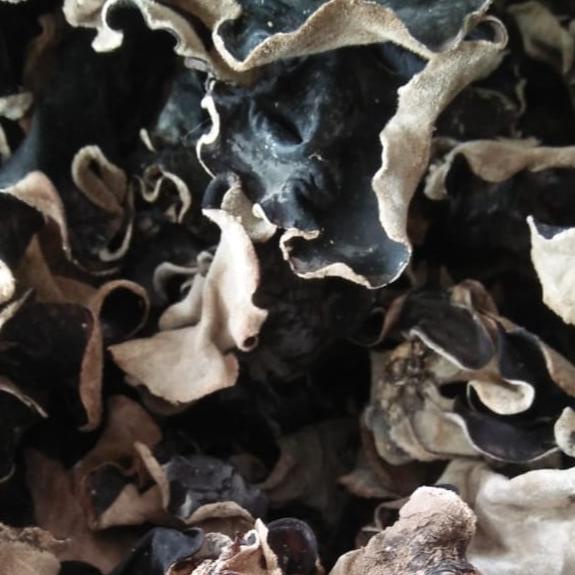 

☋ r Kuping Kering 1 kg Grade A Super / r Hitam Kering 1 KG Sortir ➲