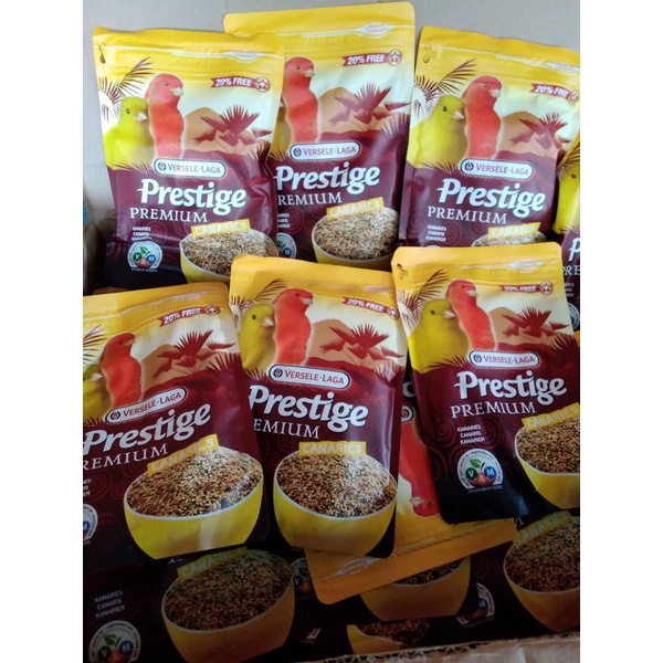 Prestige kenari versele laga