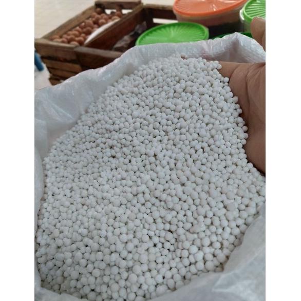 

Dijamin Ori>/ Sagu Mutiara Putih Super/ Biji Mutiara Putih Super 250 gr