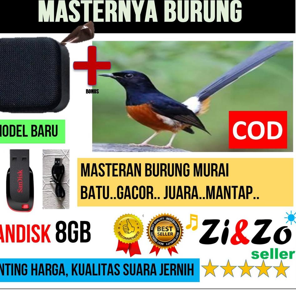 ♥ Speaker Mini T5 USB 8GB Bonus Isi MP3 Masteran Burung Murai Batu Gacor ♪