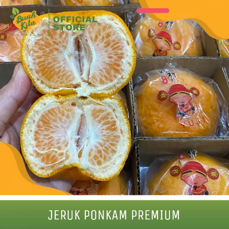 

JERUK PONKAM PREMIUM IMPORT