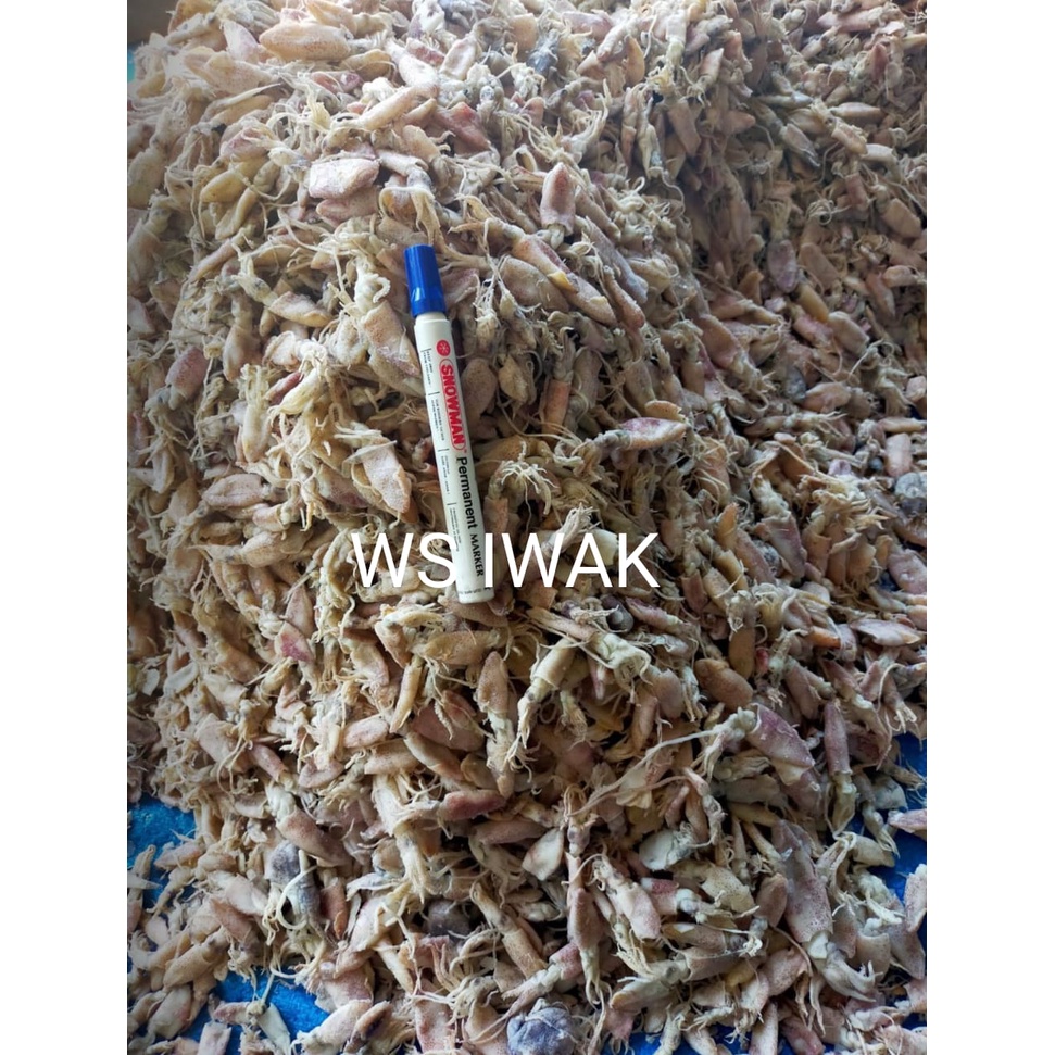 

BABY CUMI ASIN SUPER 250GR